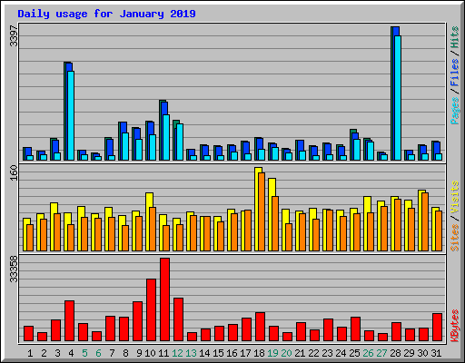 Daily usage for January 2019