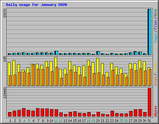 Daily usage for January 2020