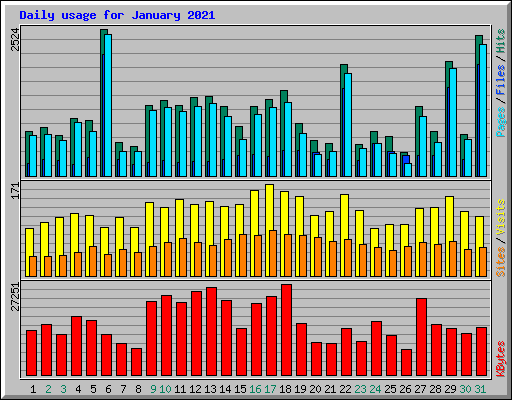 Daily usage for January 2021