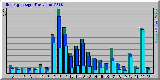 Hourly usage for June 2016