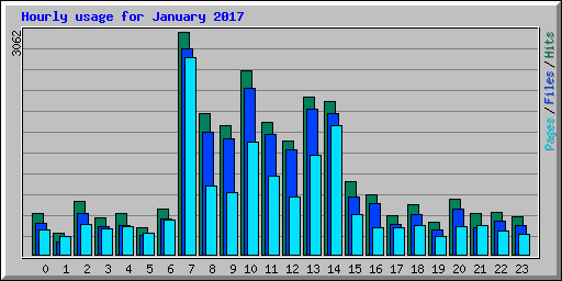 Hourly usage for January 2017