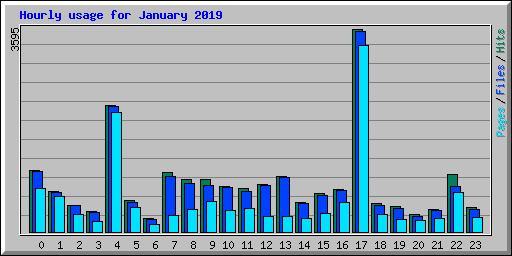 Hourly usage for January 2019