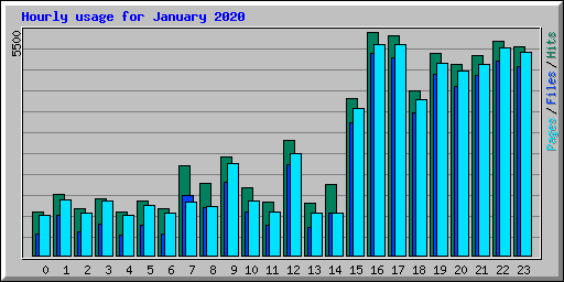 Hourly usage for January 2020