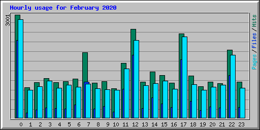 Hourly usage for February 2020