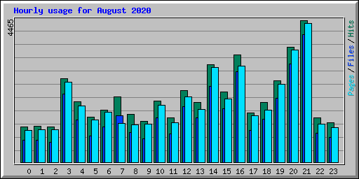 Hourly usage for August 2020