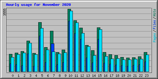 Hourly usage for November 2020