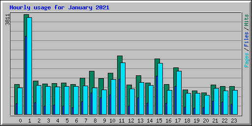 Hourly usage for January 2021